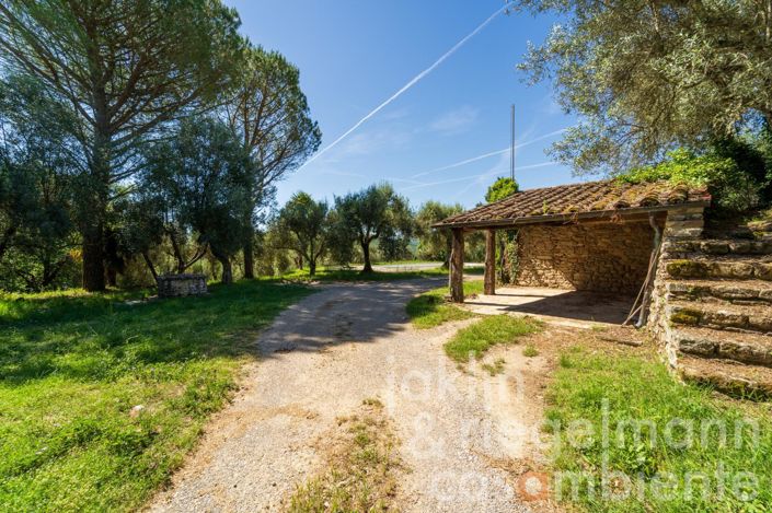 Image No.45-4 Bed Country House for sale