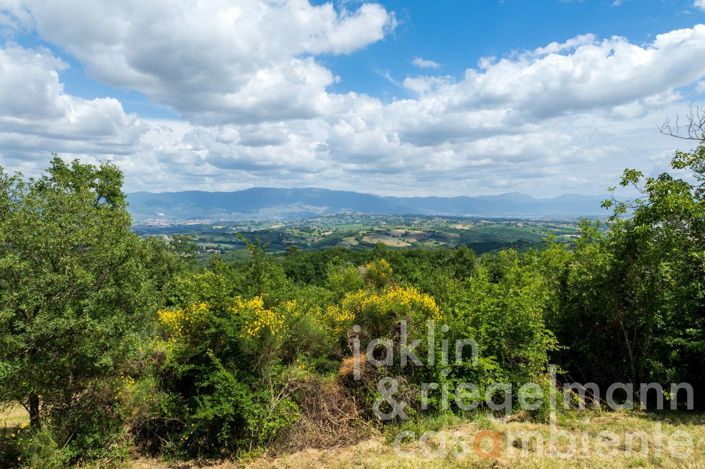 Image No.7-Country House for sale