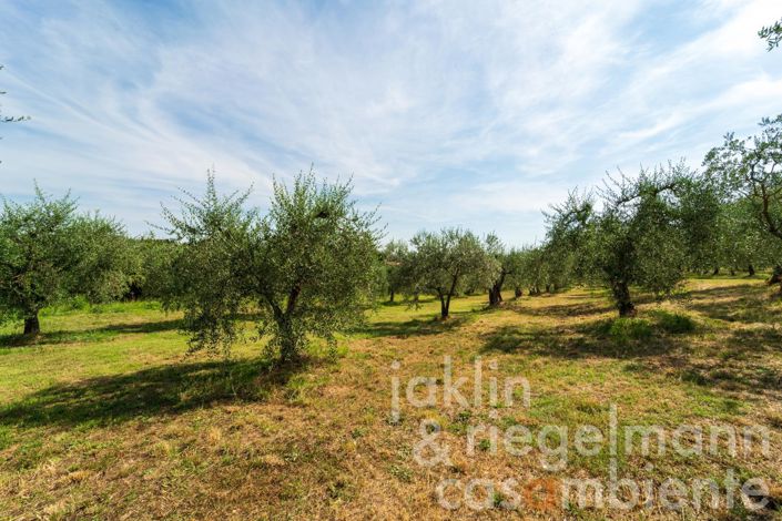 Image No.36-3 Bed Country House for sale