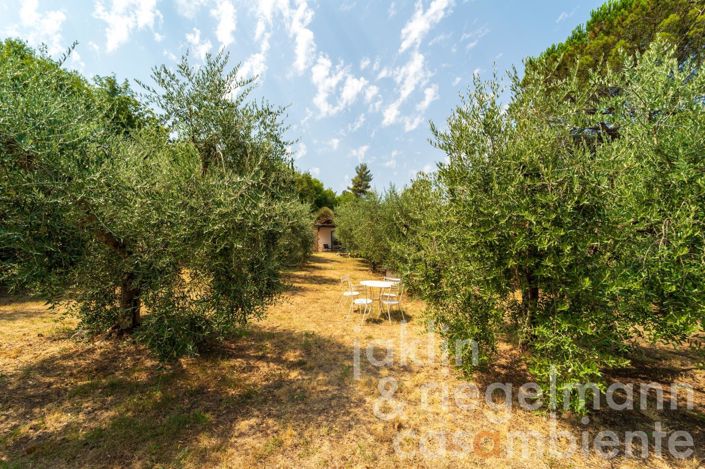Image No.35-1 Bed Country House for sale