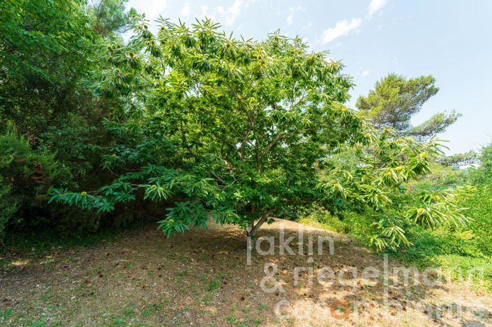 Image No.36-1 Bed Country House for sale