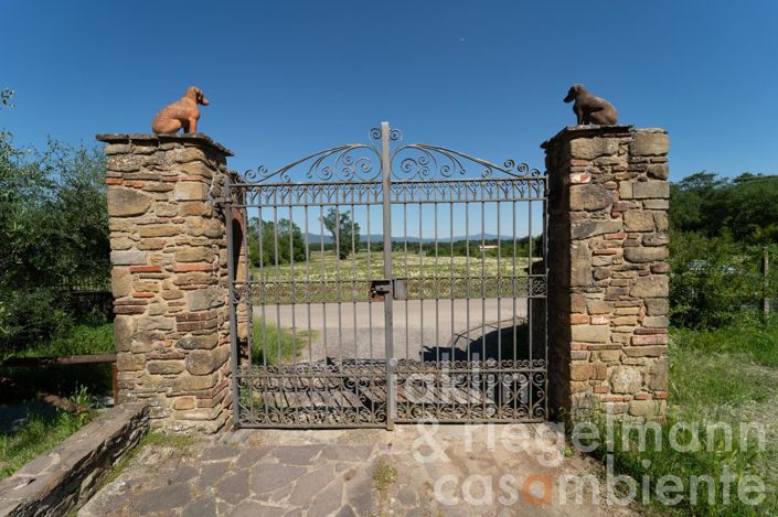 Image No.21-9 Bed Country House for sale