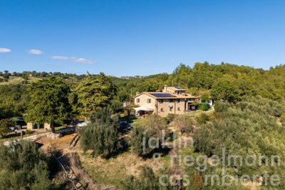 6ad8c214c4538m426004