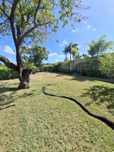 Image No.33-1 Bed Apartment for sale