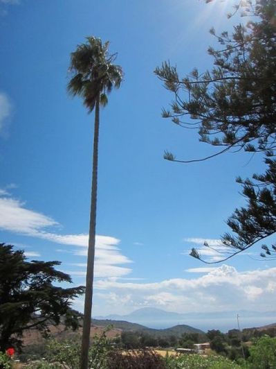 Image No.18-6 Bed Villa for sale