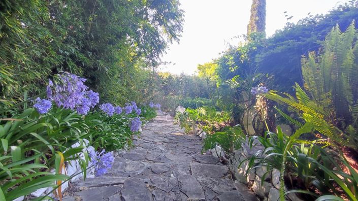 Image No.48-6 Bed Villa for sale