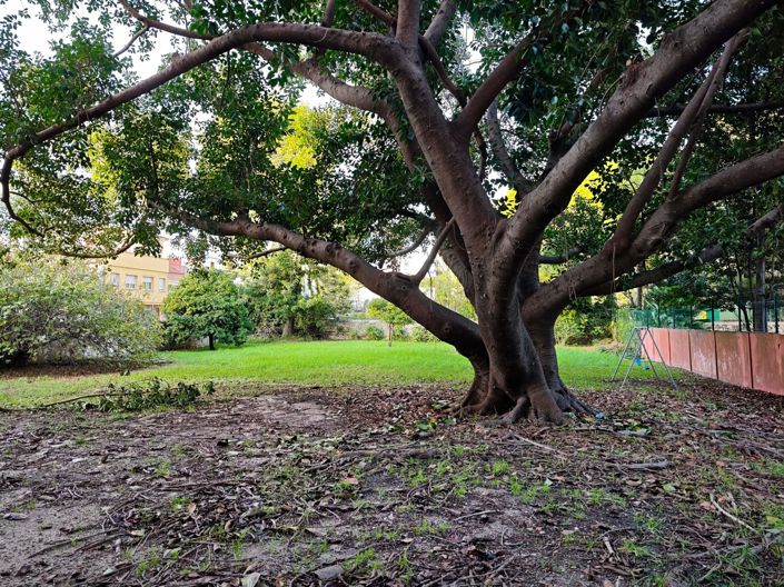 Image No.24-Appartement de 4 chambres à vendre à Algeciras