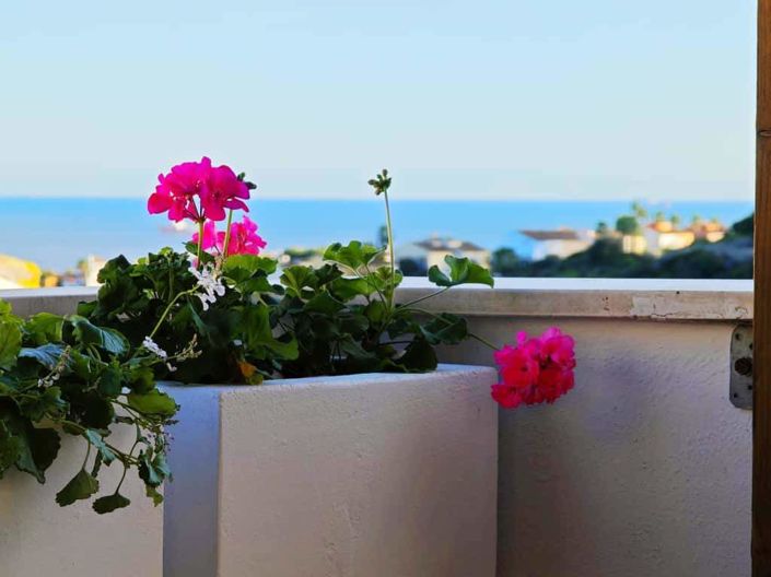 Image No.3-2 Bed Penthouse for sale