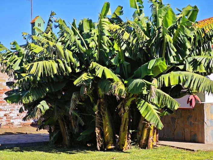 Image No.8-3 Bed Villa for sale