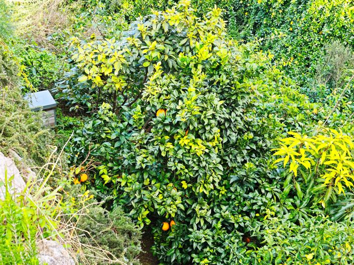 Image No.41-4 Bed Villa for sale