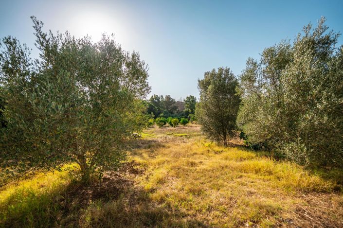 Image No.15-Maison de campagne de 2 chambres à vendre à San Roque