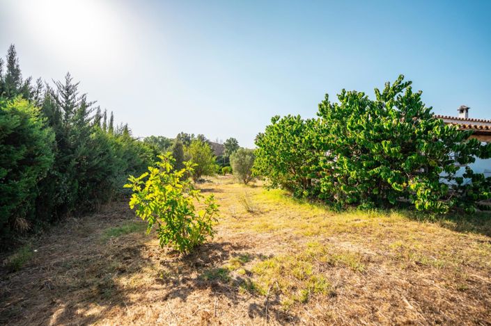 Image No.16-Maison de campagne de 2 chambres à vendre à San Roque