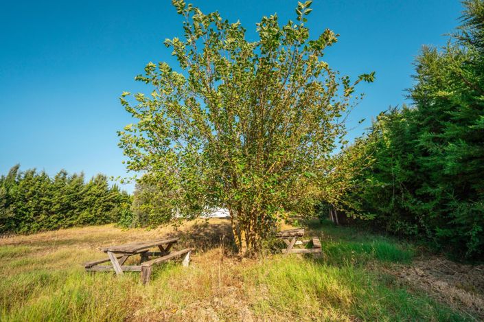 Image No.6-Maison de campagne de 2 chambres à vendre à San Roque