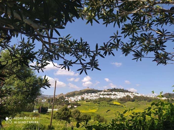 Image No.14-5 Bed Cortijo for sale