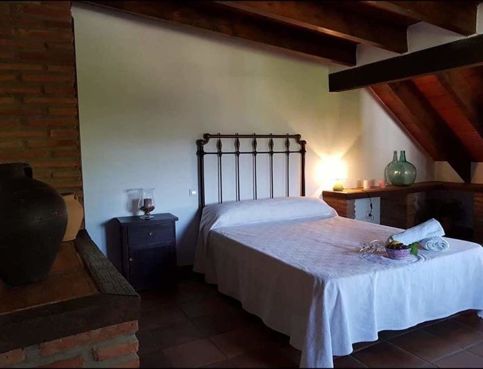 Image No.24-5 Bed Cortijo for sale