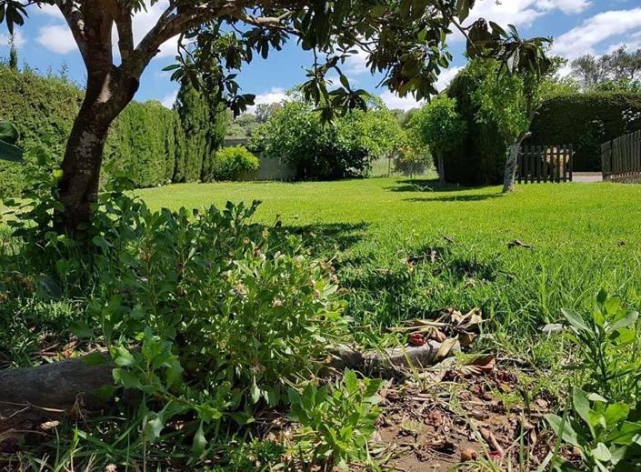 Image No.5-5 Bed Cortijo for sale