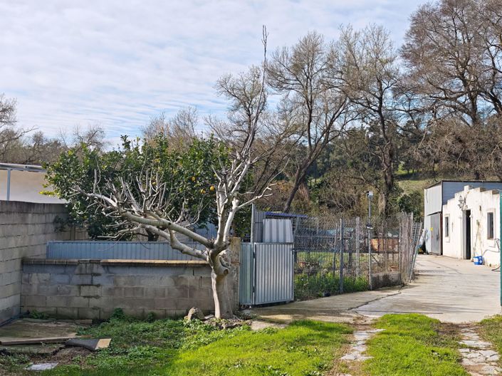 Image No.20-Maison de campagne de 3 chambres à vendre à Los Barrios