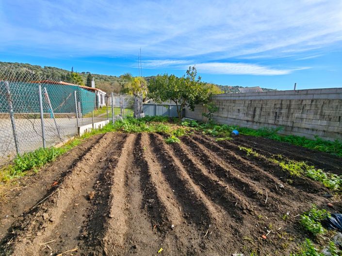 Image No.22-Maison de campagne de 3 chambres à vendre à Los Barrios