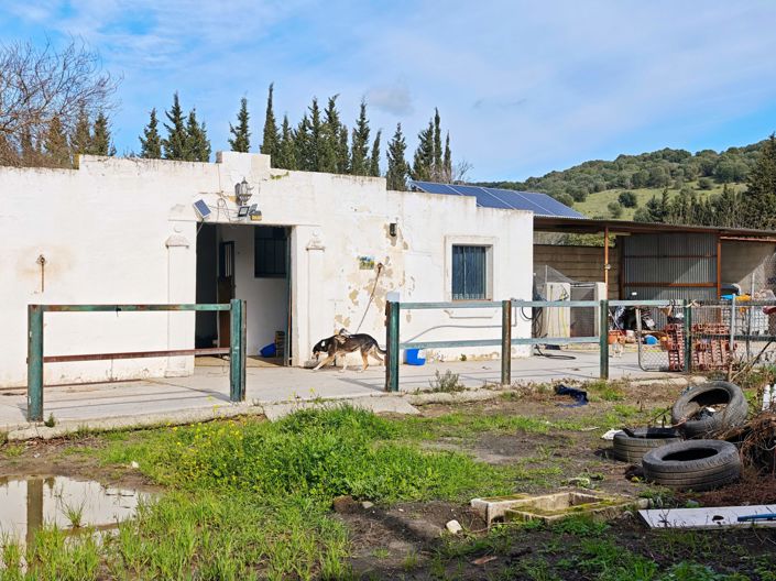 Image No.23-Maison de campagne de 3 chambres à vendre à Los Barrios