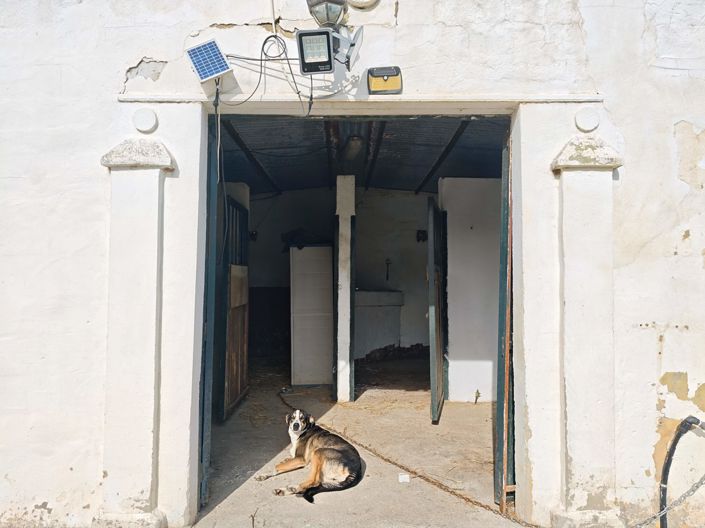 Image No.25-Maison de campagne de 3 chambres à vendre à Los Barrios