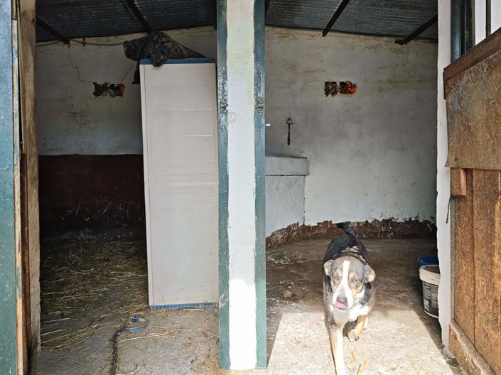 Image No.26-Maison de campagne de 3 chambres à vendre à Los Barrios