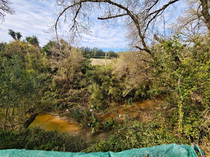 Image No.31-Maison de campagne de 3 chambres à vendre à Los Barrios