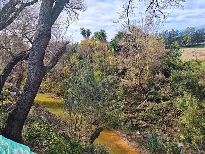 Image No.32-Maison de campagne de 3 chambres à vendre à Los Barrios