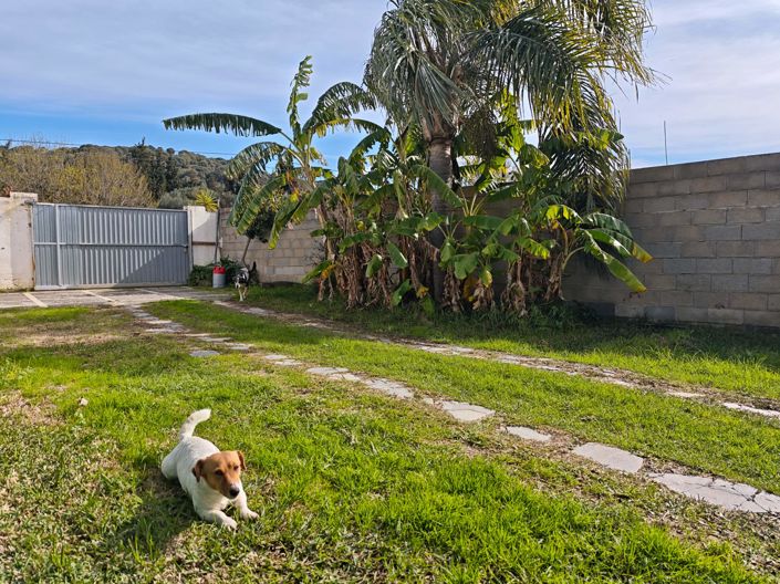 Image No.5-Maison de campagne de 3 chambres à vendre à Los Barrios