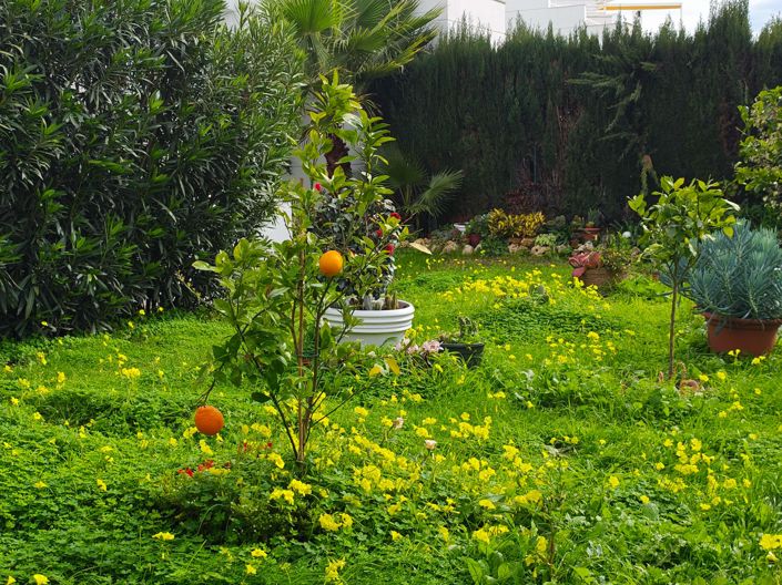 Image No.17-3 Bed Villa for sale