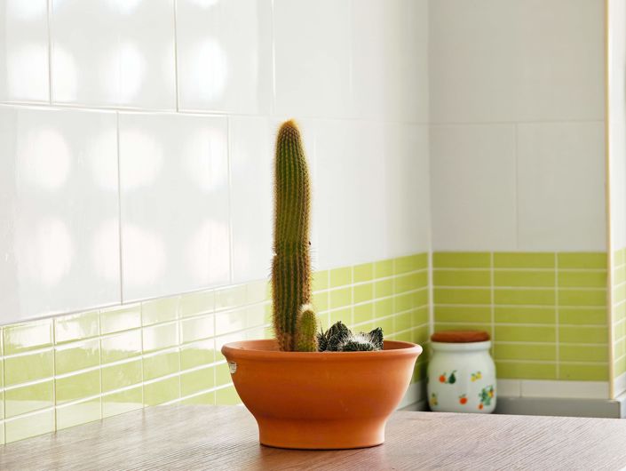 Image No.7-Appartement de 3 chambres à vendre à Algeciras