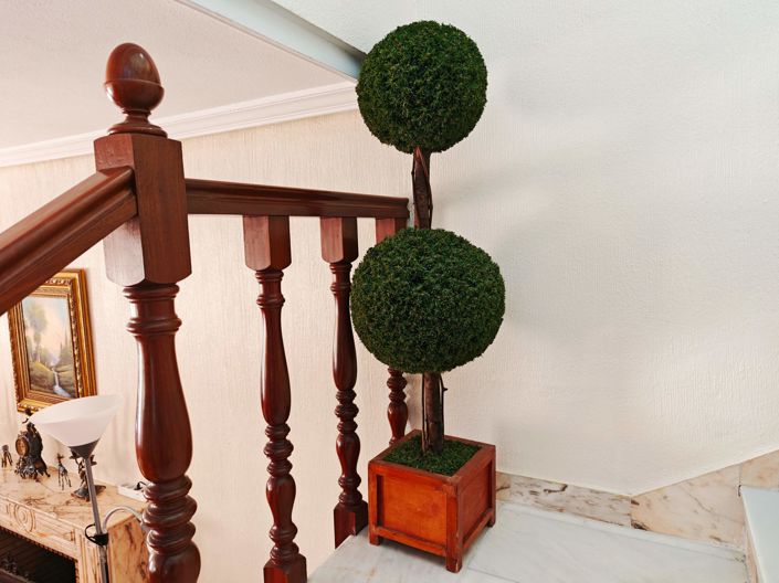 Image No.19-Villa de 5 chambres à vendre à Algeciras