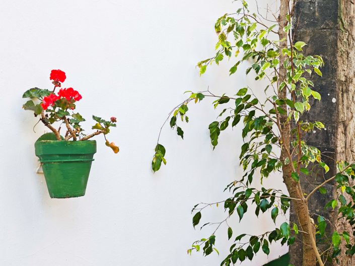 Image No.10-Villa de 5 chambres à vendre à Algeciras