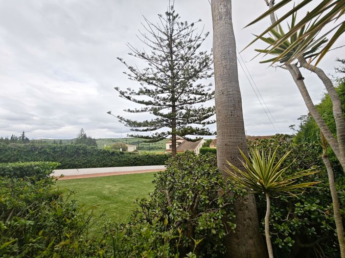 Image No.3-5 Bed Villa for sale