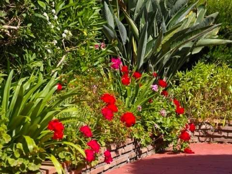 Image No.2-4 Bed House for sale