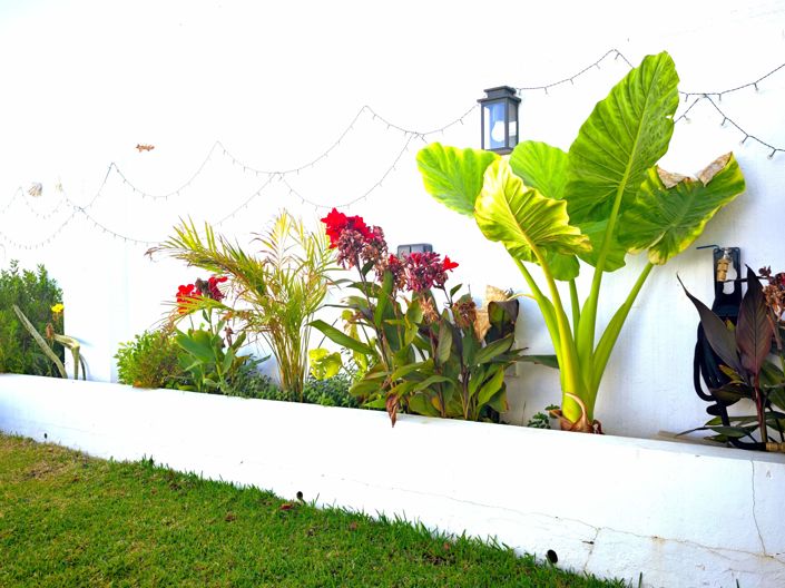Image No.15-3 Bed House for sale