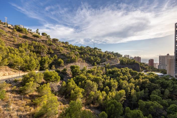 Image No.14-Appartement de 3 chambres à vendre à Benidorm