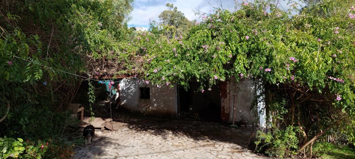 Image No.3-3 Bed Villa for sale