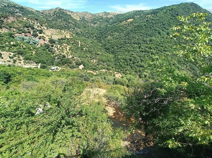 Image No.3-Maison de campagne de 2 chambres à vendre à Malaga