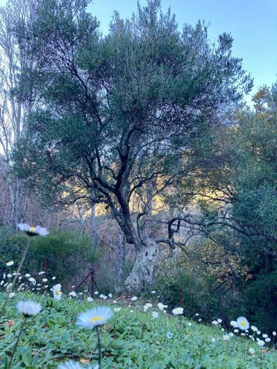 Image No.16-3 Bed Property for sale