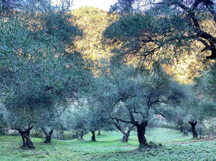 Image No.7-3 Bed Property for sale