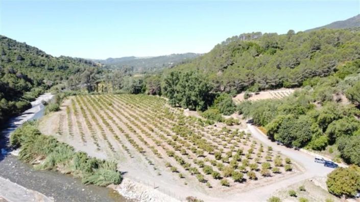 Image No.37-Propriété de 10 chambres à vendre à Gaucin