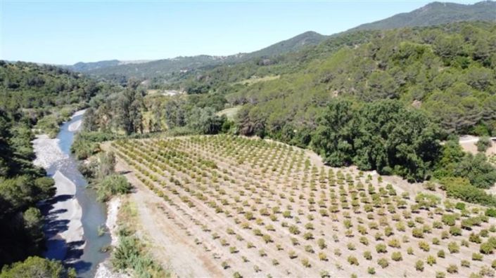 Image No.4-Propriété de 10 chambres à vendre à Gaucin