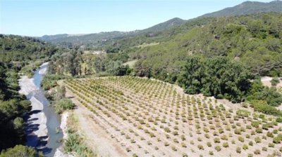 fodfa6bltfmpciw95mtuynmop65doskb