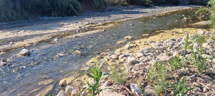 Image No.42-Propriété de 10 chambres à vendre à Gaucin