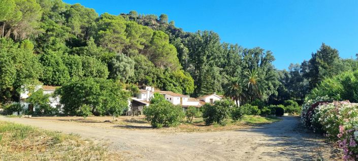 Image No.44-Propriété de 10 chambres à vendre à Gaucin