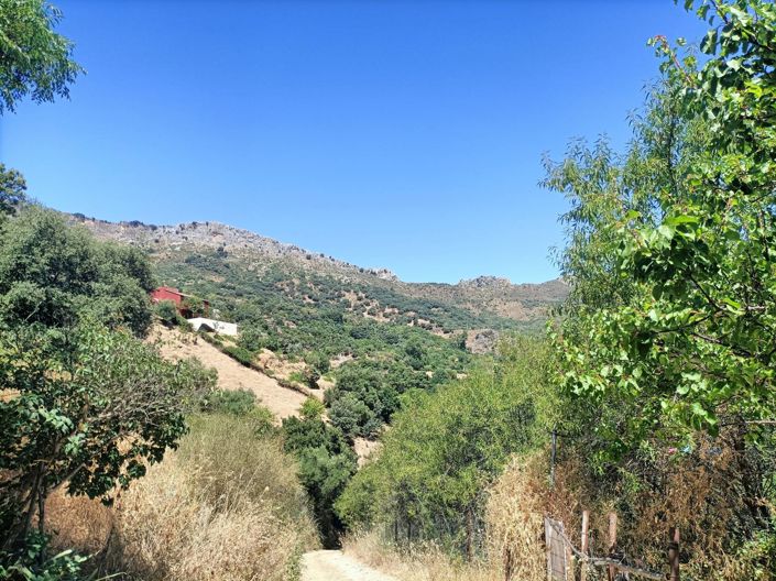 Image No.17-3 Bed Country House for sale