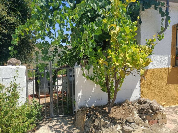 Image No.19-3 Bed Country House for sale