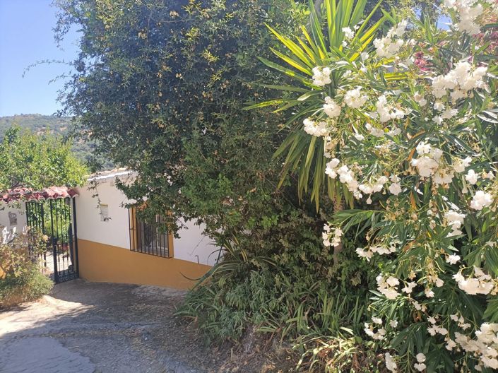 Image No.21-3 Bed Country House for sale