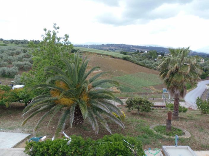 Image No.33-Villa de 4 chambres à vendre à Arriate