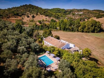 1 - Constantina, Property